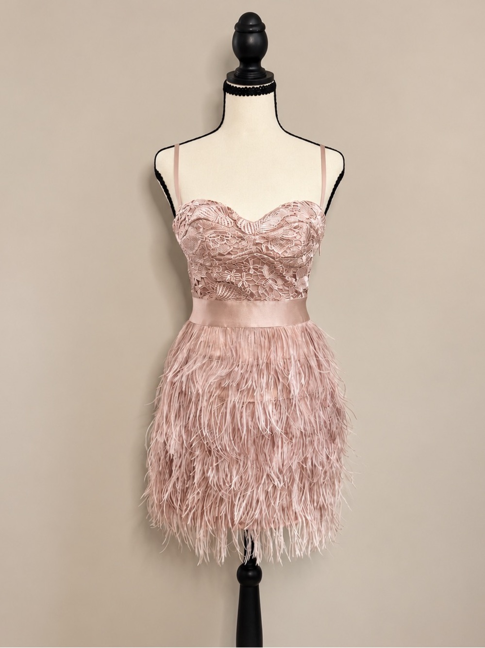 Bebe Isis Lace Feather Mini Dress Blush Pink XS